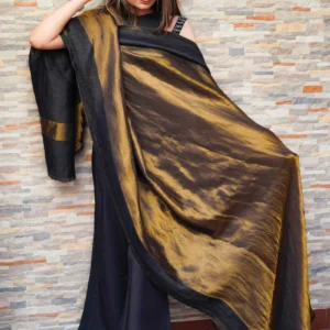 Pashmkala Women Jari Border Reversable Shawl